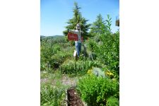 Logo de Grelinette et compagnie Logo de Grelinette et compagnie