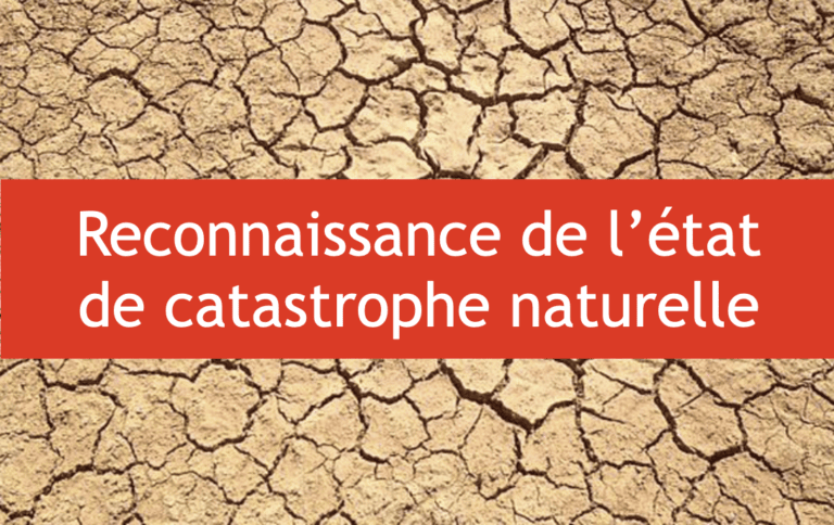 Reconnaissance de l’état de catastrophe naturelle