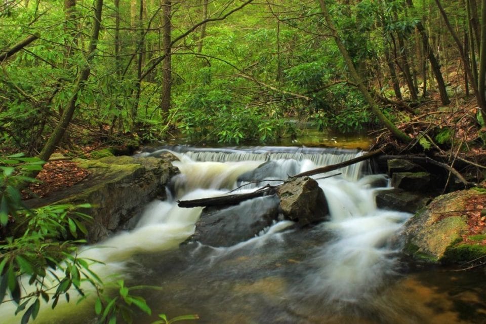 Avis d’enquête publique entretien des cours d’eau