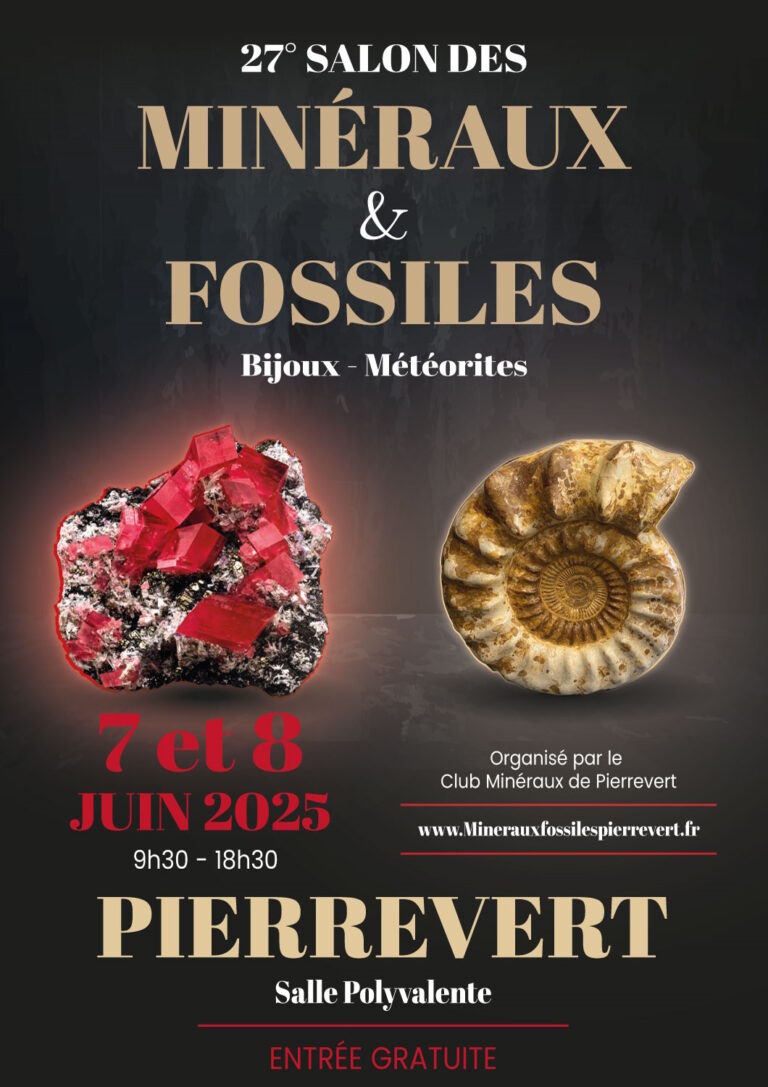 Salon Minéraux & Fossiles